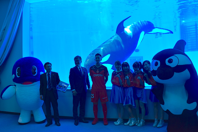 グランパスが名古屋港水族館とタイアップ シャチに夢中 発表会見に本物のシャチも登場 サッカーキング