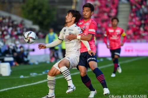 cerezo_frontale_kobayashi (14)