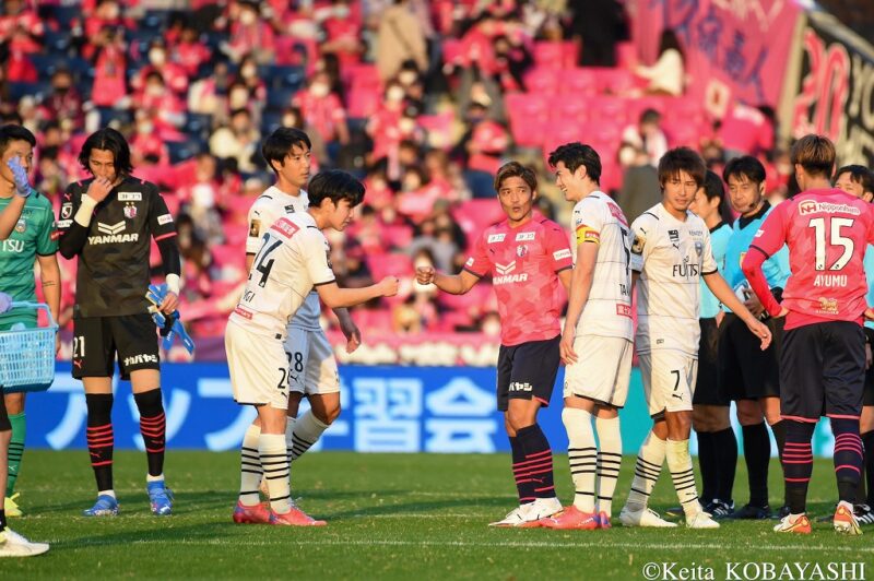 cerezo_frontale_kobayashi (19)