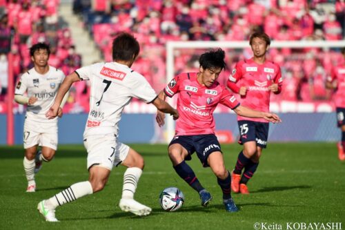 cerezo_frontale_kobayashi (9)