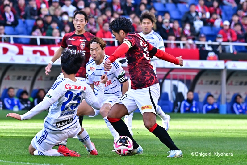 20241208 J1 Urawa vs Nigata Kiyohara3(s)